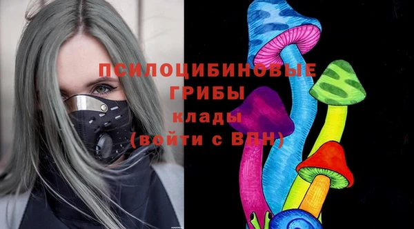 бутират Алексеевка