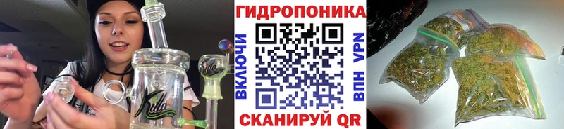 МАРИХУАНА конопля Нижний Тагил